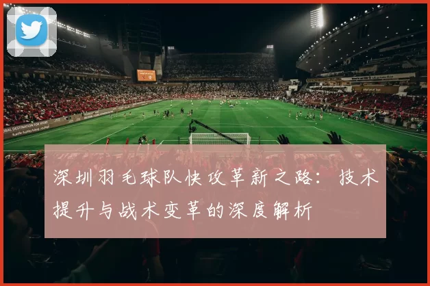 深圳羽毛球队快攻革新之路：技术提升与战术变革的深度解析