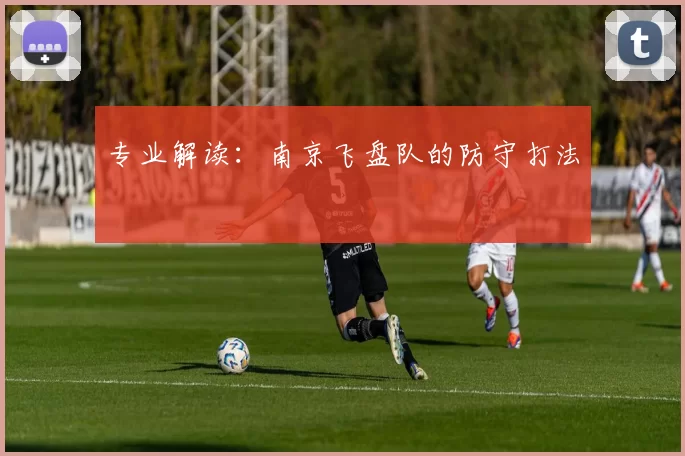 专业解读：南京飞盘队的防守打法