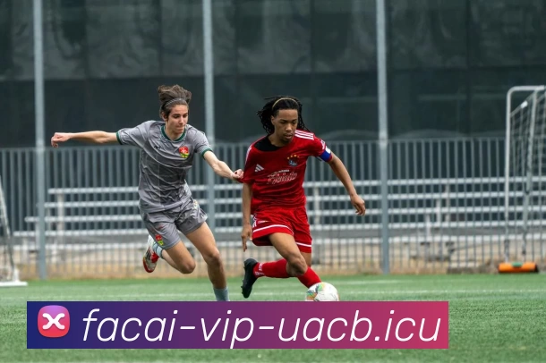 MK体育注册服务体系